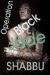Operation Black Jade (A Gay Erotica / Gay Espionage Thriller) by Shabbu 