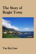 The Story of Bright Town by Smash Wong