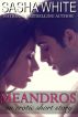 Meandros; An Erotic Journey by Sasha White