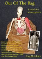 Cover for 'Out of the Bag: A Search for Missing Pieces'