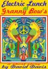 Electric Lunch at Granny Bow's by David Davis
