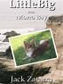 LittleBig from Morro Bay by Jack Zatarra