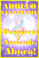 Cover for '!Despierta y Asciende Ahora!'