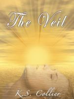 Cover for 'The Veil'