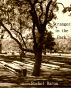 Stranger in the Park by Rochel Baron