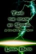 Take The Stage By Storm (Storm Front 2) by Lissa Bilyk