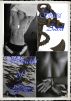 Shades of Gray by Shara Azod