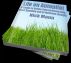 Life on Autopilot - A Guide to Online Entrepreneurship, Smart Spending and an Awesome Lifestyle by Nick Mann