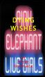 Dying Wishes by Steve Goldsack