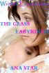 The Glass Labyrinth by Ana Star