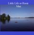 Little Life of Rosie Mae by Chantel McGleno