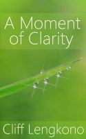 Cover for 'A Moment of Clarity'