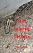 We Are Not Ignorant of His Devices by Miriam Kinai