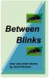 Between Blinks by Janet Ference