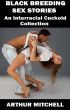 Black Breeding Sex Stories: An Interracial Cuckold Collection by Arthur Mitchell