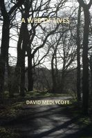 Cover for 'A Web of Lives'