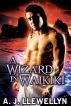 A Wizard in Waikiki by A. J. Llewellyn