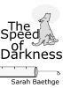 The Speed of Darkness by Sarah Baethge