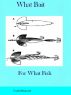What Bait For What Fish by Donald Hammond