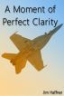 A Moment of Perfect Clarity by Jim Haffner