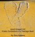 Heart-Shaped Dirt: Poetic Confessions of a Teenage Heart by Gina Sanders