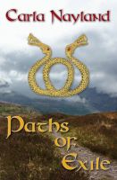 Cover for 'Paths of Exile'