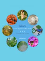 Cover for 'Sabbats of the Northern Hemisphere'
