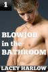 Blowjob in the Bathroom by Lacey Harlow