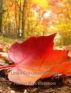 Love's God-Gifted Memories by Thomas Mark Wickstrom