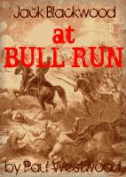 Cover for 'At Bull Run'