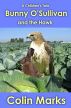 Bunny Oâ€™Sullivan and the Hawk by Colin Marks