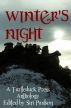 Winter's Night by KD Sarge