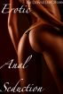 Erotic Anal Seduction by David DeCitore