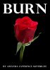 Burn:  A Short Romance Story by Amanda Lawrence Auverigne