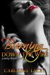 Burning Down The Wire by Caroline Lacey