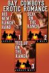 Gay Cowboy Erotic Romance 3-Pack Bundle by Aubrey Watt