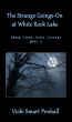 The Strange Goings-On at White Rock Lake by Vicki Smart Penhall