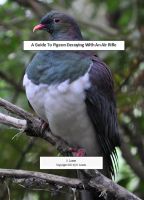 Cover for 'Decoying Pigeons With An Air Rifle'