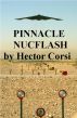 Pinnacle Nucflash by Hector Corsi