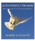 God's Perfect Promise:Knowing the God of Impossibilities by Albert Olaoye