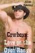 Cowboys: Love on the Open Range by Jillian Cumming