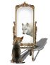 Gazing into the Congeneric Mirror by Benjamin Joel Wilkinson