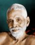 The theory and practice of self-inquiry. by P.V.S. Suryanarayana Raju,