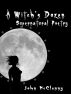 A Witch's Dozen by John McClenny