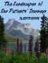 The Landscapes of Our Patients' Journeys by Keith Rasey