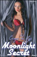Cover for 'Moonlight Secret (Part 1) (Gangbang Erotica)'