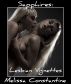 Sapphires:  Lesbian Vignettes by Melissa Constantine