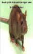 Dealing with rats and mice in your home - kill or humane methods by Richard Shepherd