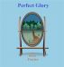 Perfect Glory by Donna Fowler