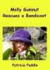 Molly Gumnut Rescues a Bandicoot by Patricia Puddle